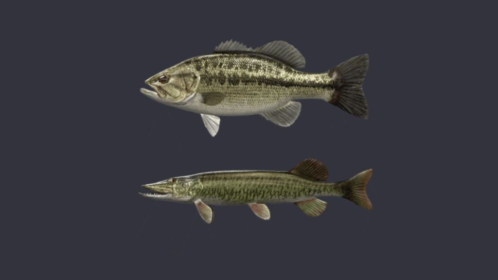 Fish species catchable with Narrow Spoon 7g spinning setup at Fishing Planet Level 5 Lonestar Lake and Mudwater River