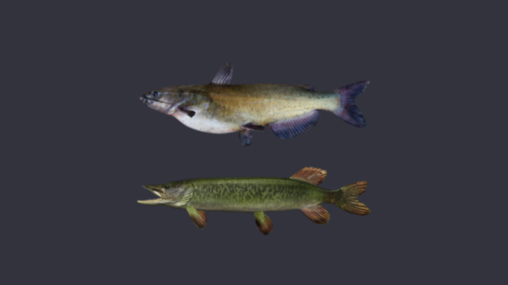 Fish species catchable with Barbless Narrow Spoon 7g Level 6 casting setup across Lonestar Lake Mudwater River and Emerald Lake in Fishing Planet