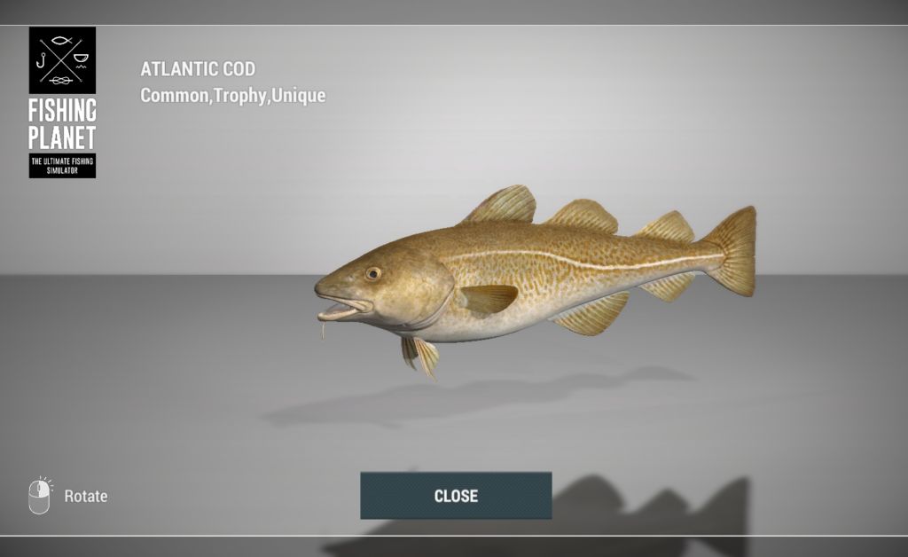 Atlantic Cod 3D model in Fishing Planet at Skarland Fjord