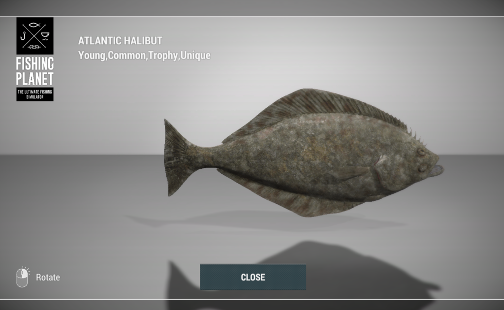 Atlantic Halibut 3D model in Fishing Planet at Skarland Fjord