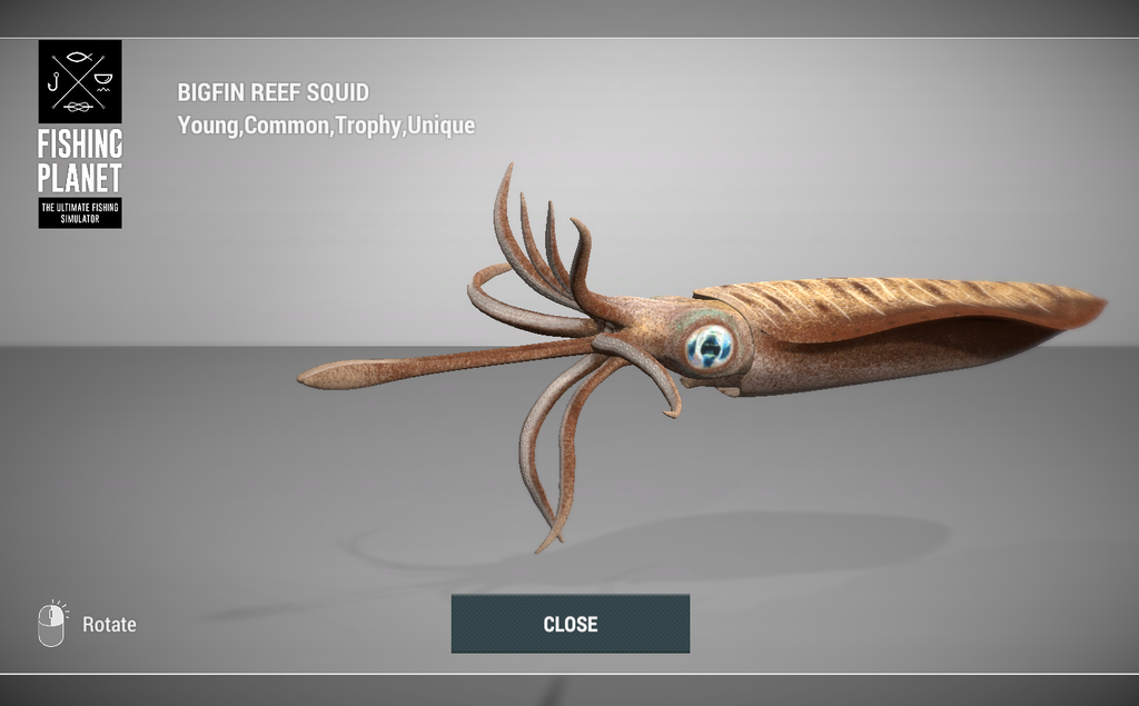 Bigfin Reef Squid 3D model in Fishing Planet at Kaiji No Ri