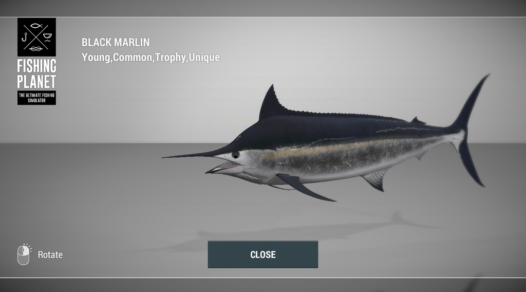 Black Marlin 3D model in Fishing Planet at Noomaa Kuda Atholhu