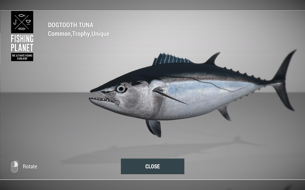 Dogtooth Tuna 3D model in Fishing Planet at Kaiji No Ri