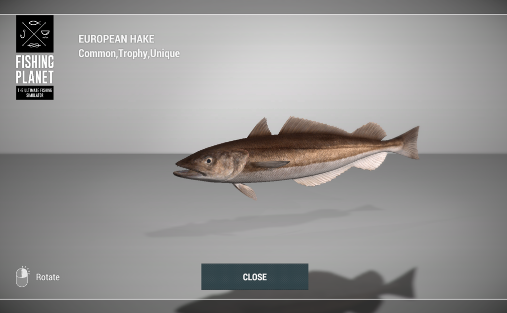 European Hake 3D model in Fishing Planet at Skarland Fjord
