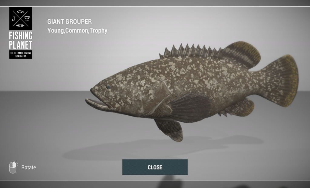 Giant Grouper 3D model in Fishing Planet at Kaiji No Ri