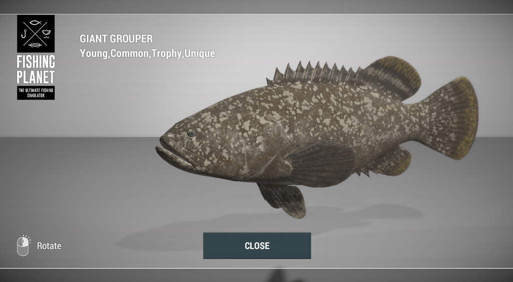 Giant Grouper 3D model in Fishing Planet at Noomaa Kuda Atholhu