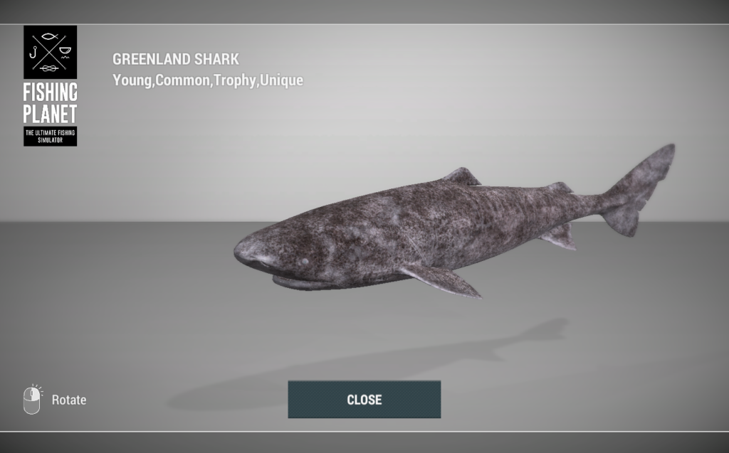 "Greenland Shark 3D model in Fishing Planet at Skarland Fjord