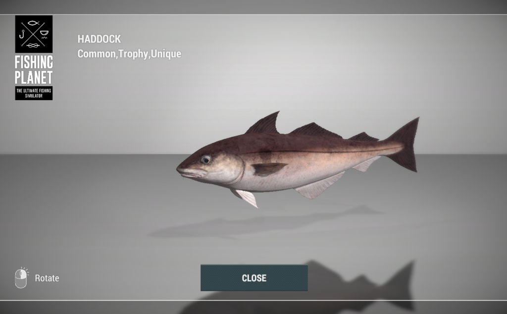 Haddock 3D model in Fishing Planet at Skarland Fjord