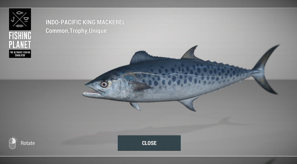 Indo-Pacific King Mackerel 3D model in Fishing Planet at Noomaa Kuda Atholhu