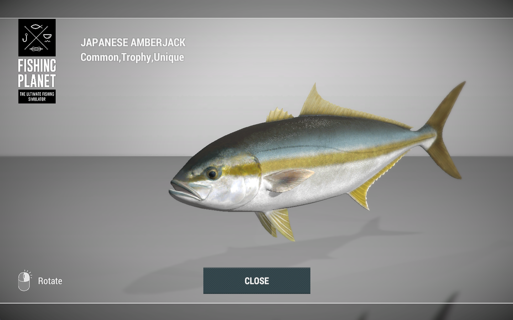 Japanese Amberjack Yellowtail 3D model in Fishing Planet at Kaiji No Ri