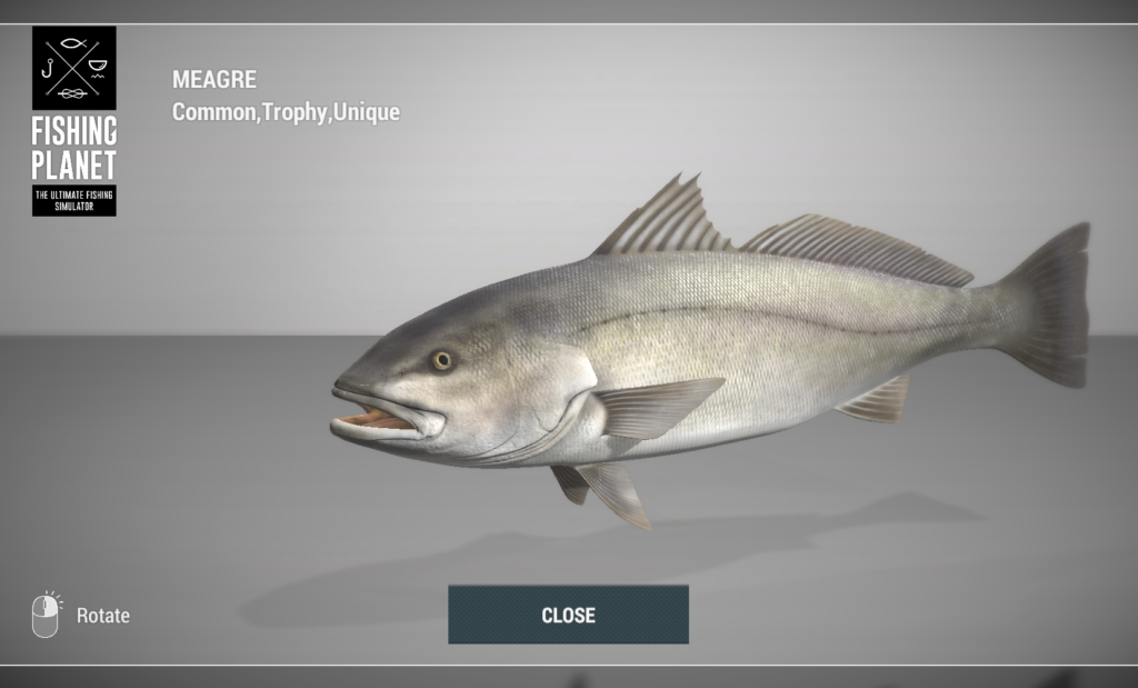 Meagre salmon-bass 3D model in Fishing Planet