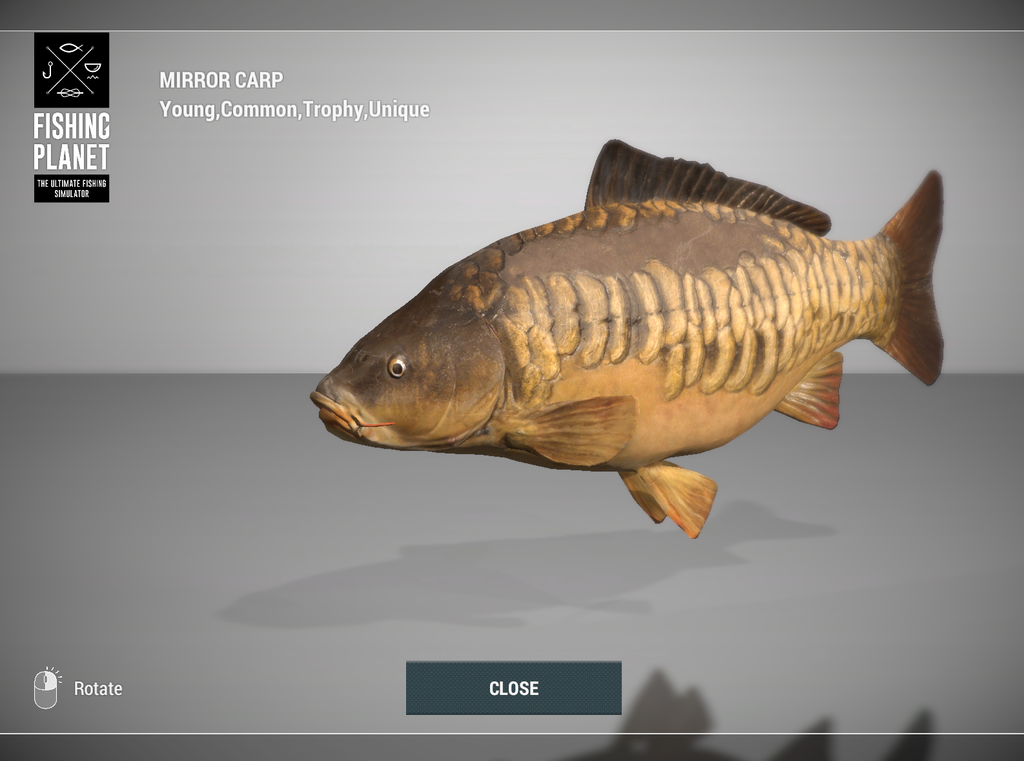 Mirror Carp 3D model in Fishing Planet at Weeping Willow Fisheries