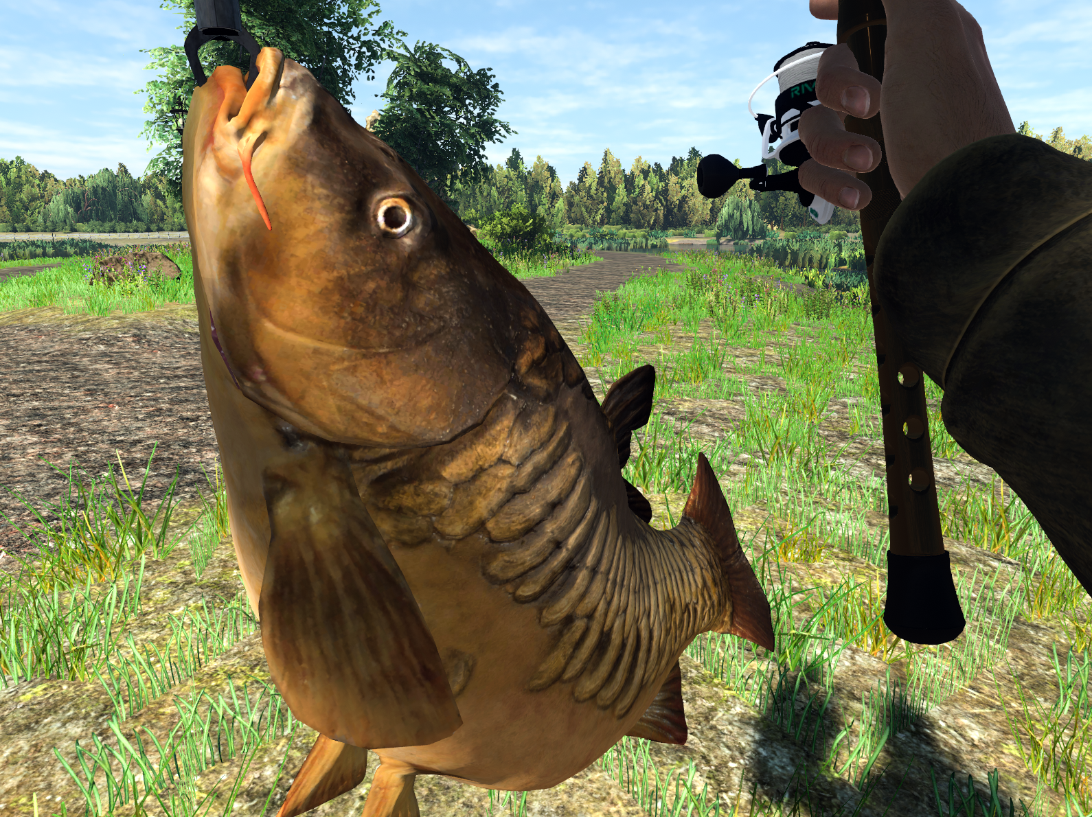 Trophy Mirror Carp caught at Weeping Willow Fisheries in Fishing Planet, 17.485 kg