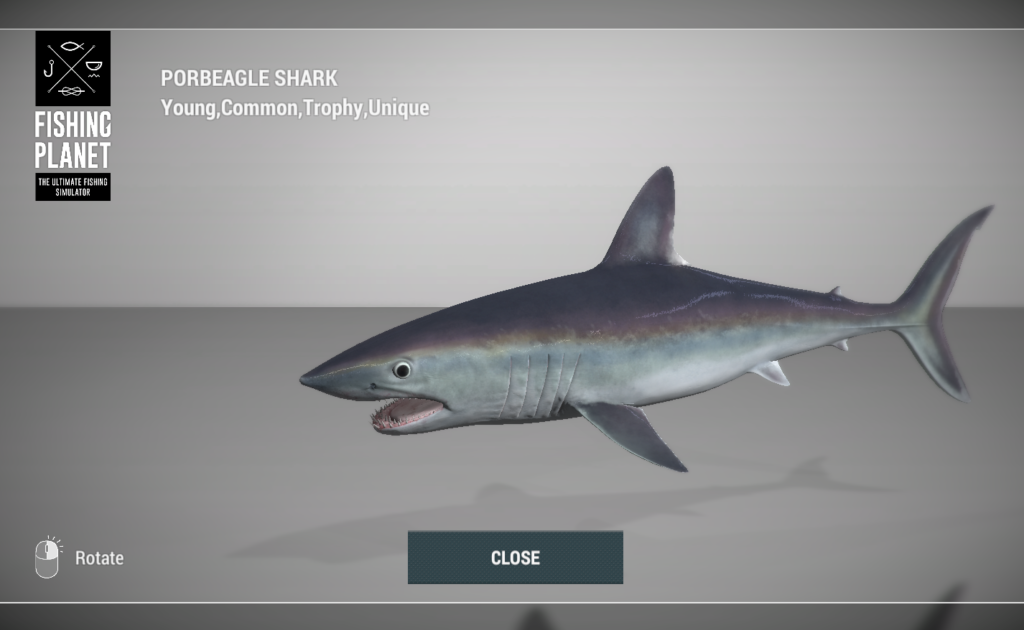 Porbeagle Shark 3D model in Fishing Planet at Skarland Fjord