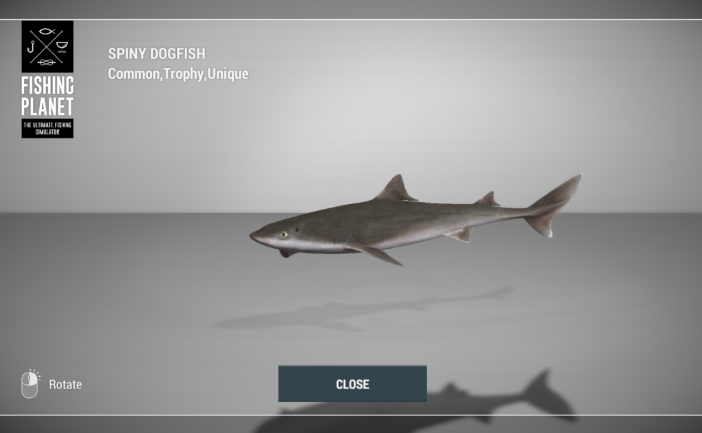 Spiny Dogfish 3D model in Fishing Planet at Skarland Fjord