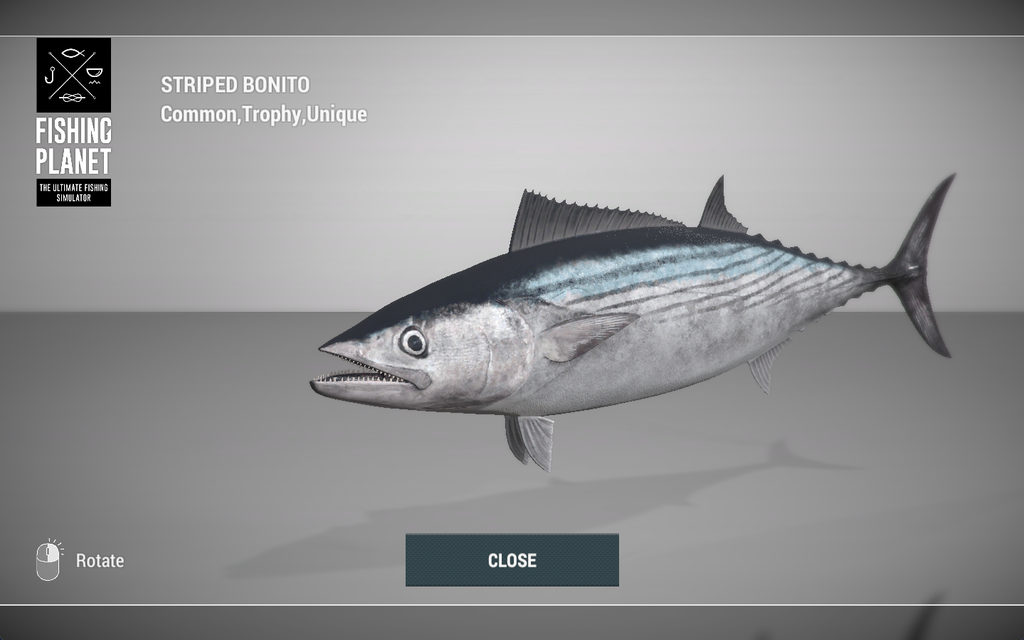 Striped Bonito 3D model in Fishing Planet at Kaiji No Ri