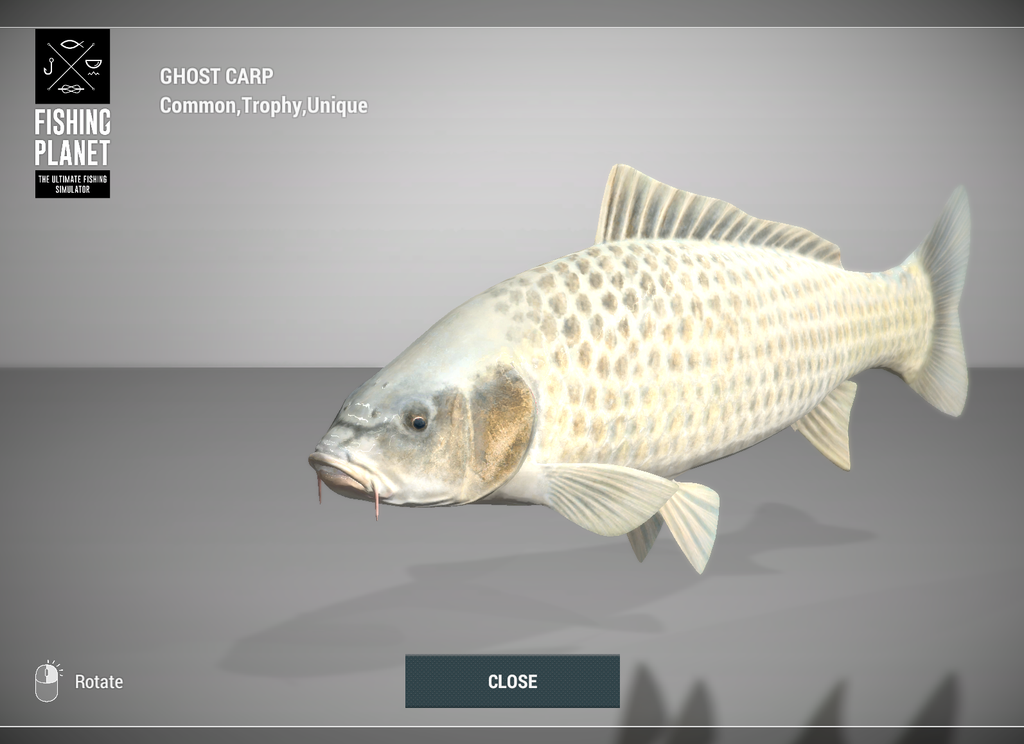 Ghost Carp 3D model in Fishing Planet at Weeping Willow Fisheries
