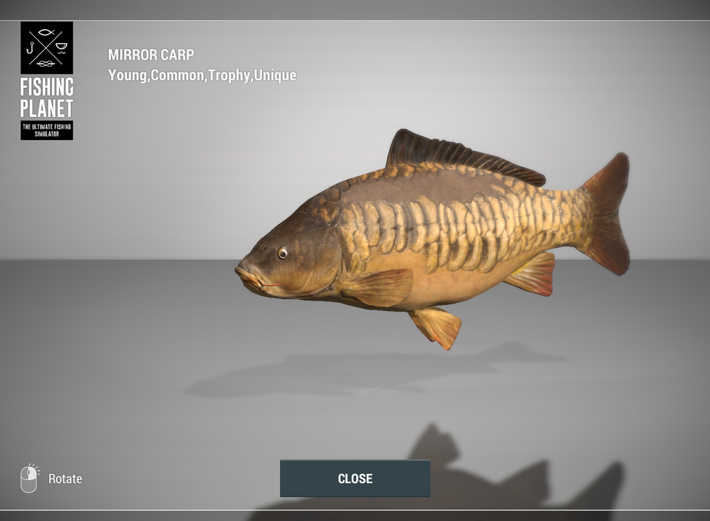 Mirror Carp 3D model in Fishing Planet at Weeping Willow Fisheries