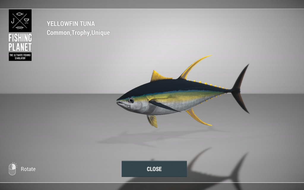Yellowfin Tuna 3D model in Fishing Planet at Kaiji No Ri