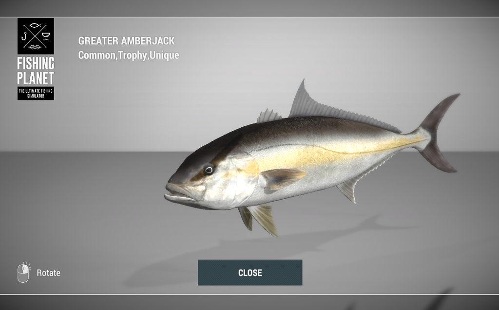 Greater Amberjack 3D model in Fishing Planet at Kaiji No Ri
