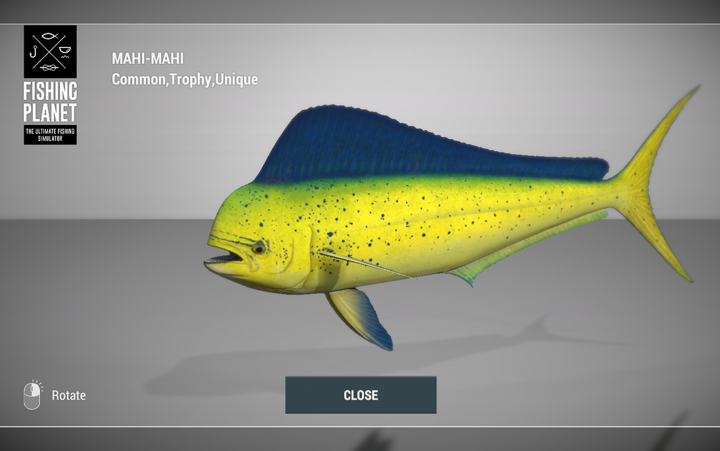 Mahi-Mahi 3D model in Fishing Planet at Kaiji No Ri