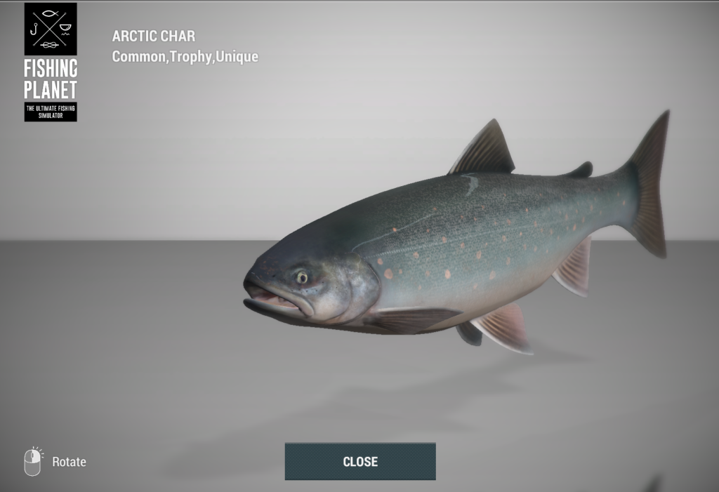 Arctic Char 3D model in Fishing Planet at Skarland Fjord
