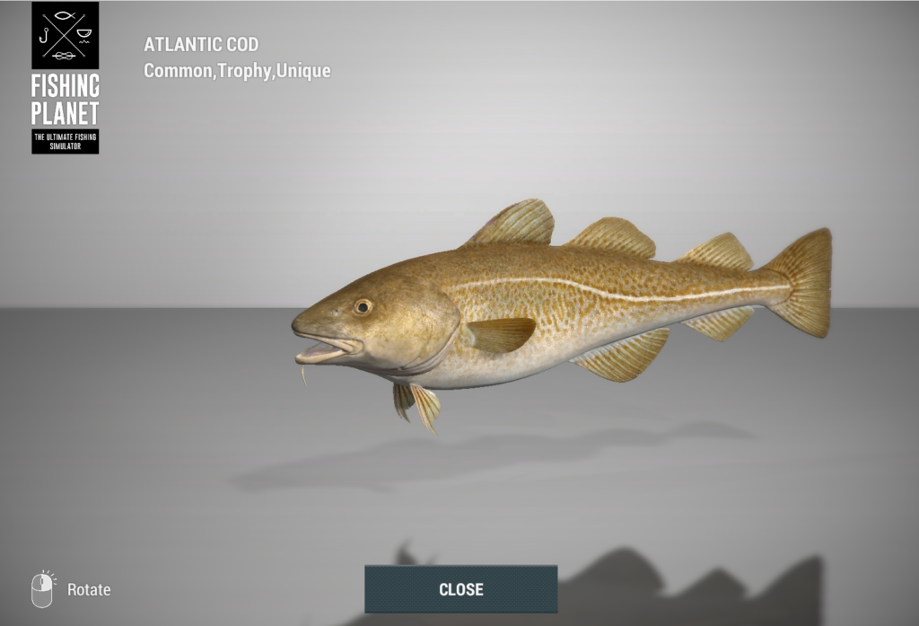 Atlantic Cod 3D model in Fishing Planet at Skarland Fjord