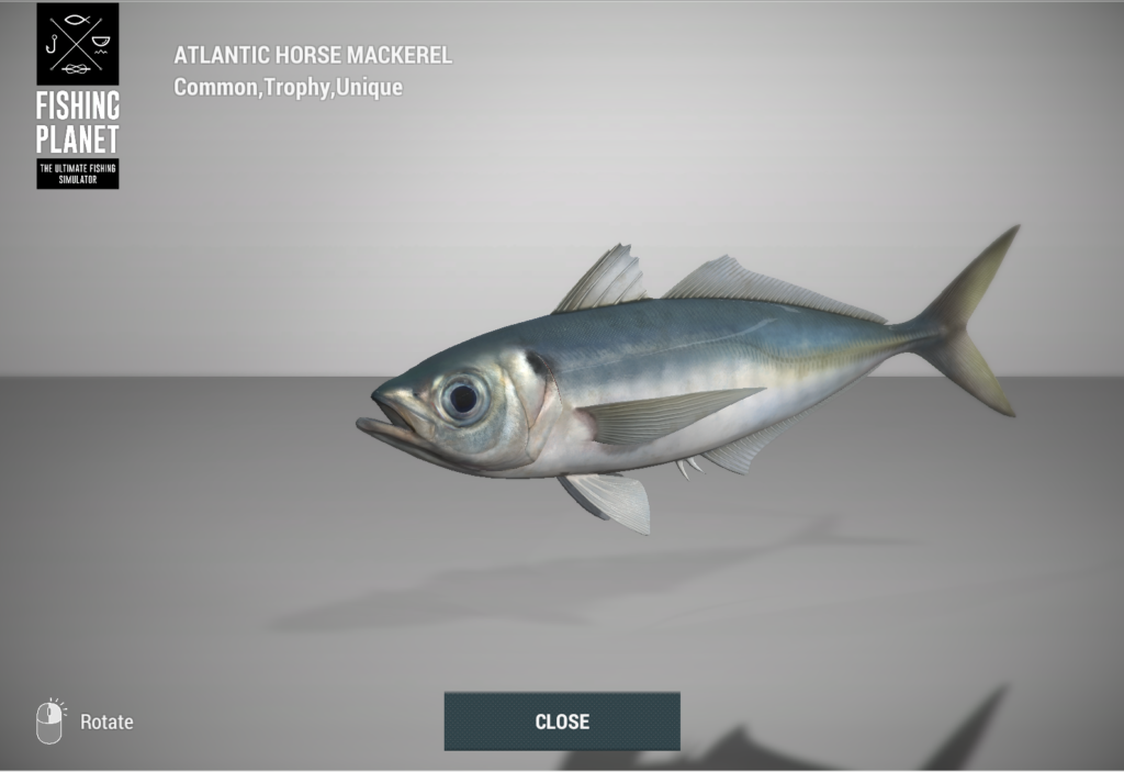 Atlantic Horse Mackerel 3D model in Fishing Planet at Skarland Fjord