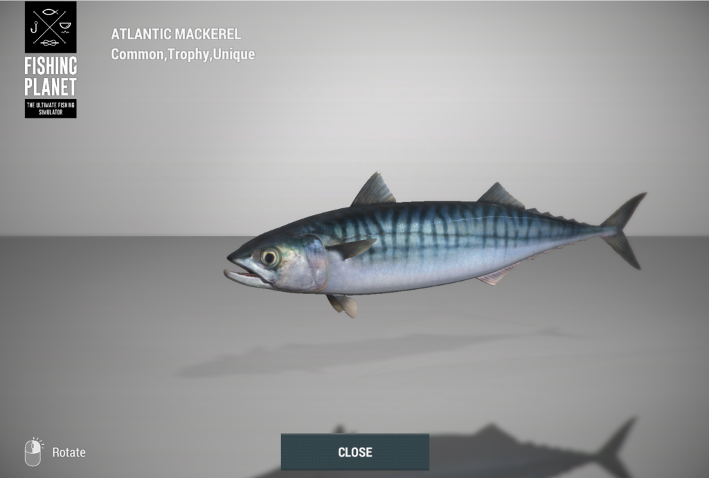 Atlantic Mackerel 3D model in Fishing Planet at Skarland Fjord