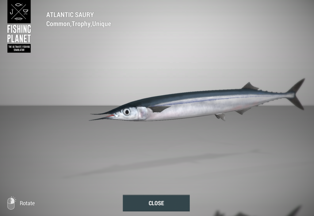 Atlantic Saury 3D model in Fishing Planet at Skarland Fjord