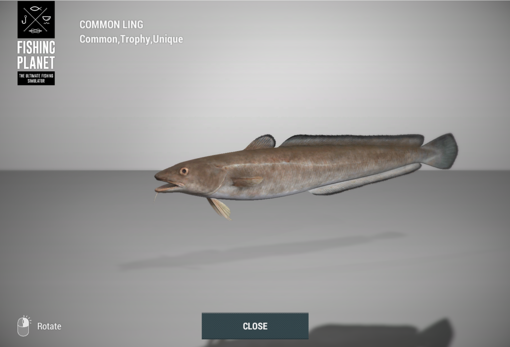 Common Ling 3D model in Fishing Planet at Skarland Fjord
