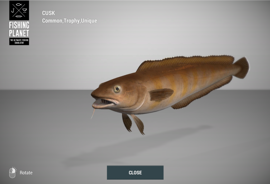 Cusk torsk 3D model in Fishing Planet at Skarland Fjord