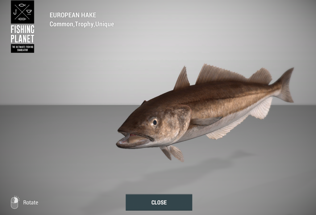 European Hake 3D model in Fishing Planet at Skarland Fjord