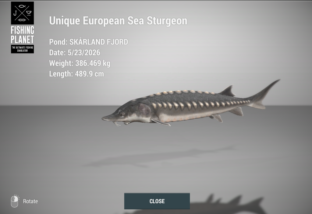 European Sea Sturgeon 3D model in Fishing Planet at Skarland Fjord