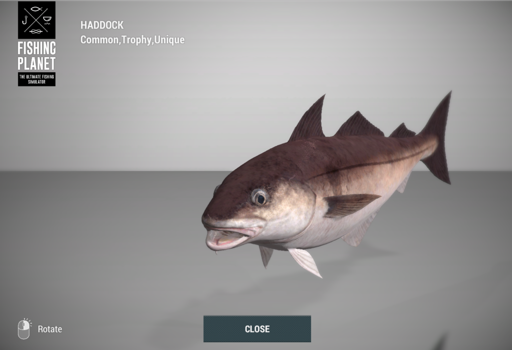 Haddock 3D model in Fishing Planet at Skarland Fjord
