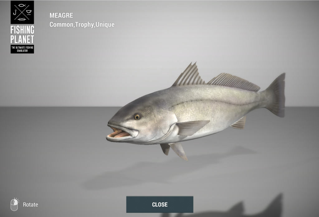 Meagre salmon-bass 3D model in Fishing Planet at Skarland Fjord