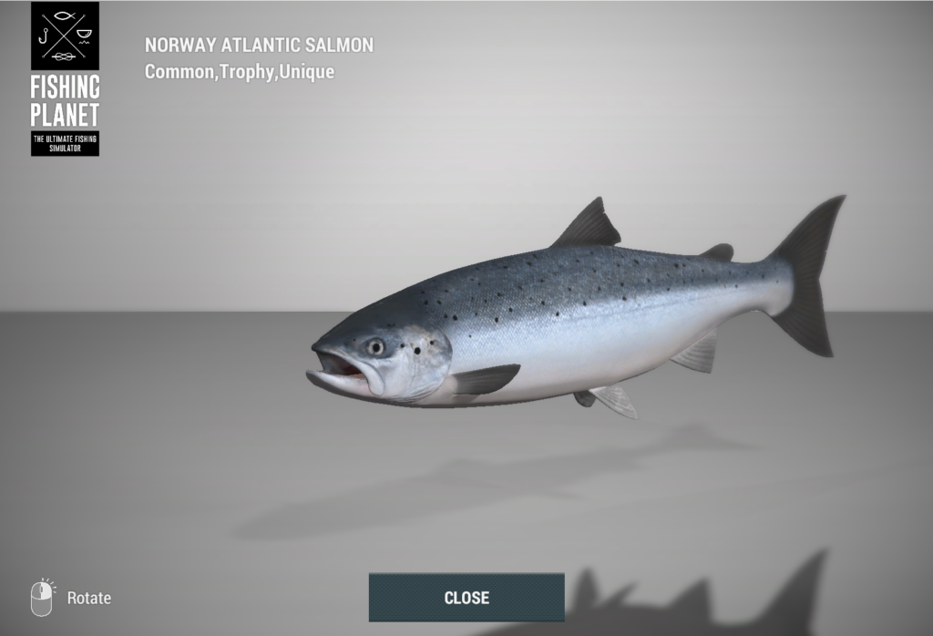 Norway Atlantic Salmon 3D model in Fishing Planet at Skarland Fjord