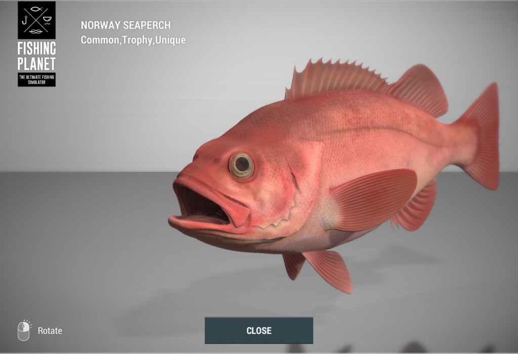Norway Seaperch redfish 3D model in Fishing Planet at Skarland Fjord
