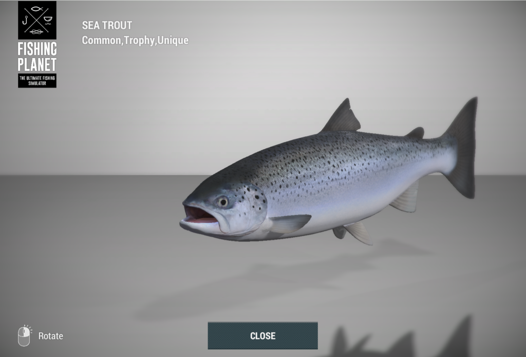 Sea Trout 3D model in Fishing Planet at Skarland Fjord