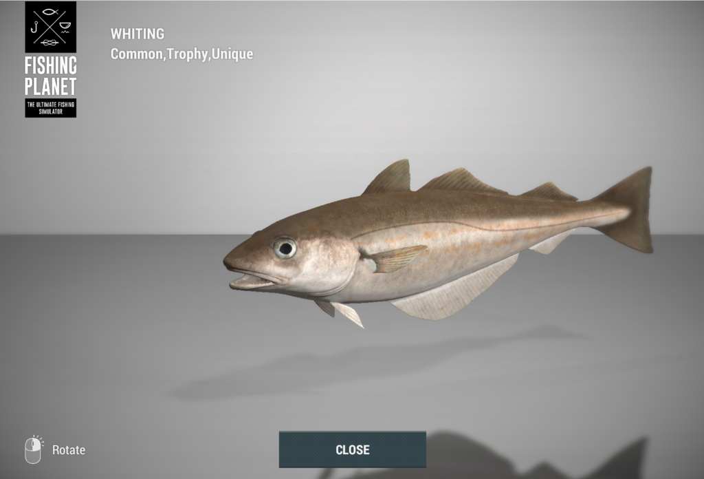 Whiting 3D model in Fishing Planet at Skarland Fjord